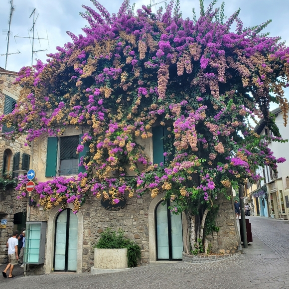 My trip to Italy 🇮🇹 - Picture 8 of 13